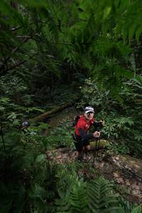 BIB: 
                            <button type="button" onclick="openModal(16029721)" class="btn btn-primary btn-sm float-right btn-popup" data-toggle="modal" data-target=".modal-high-quality">
                        <i class="fas fa-shopping-cart"></i> Add to Cart
                    </button>
                                            <button type="button" onclick="isThisMe(16029721, true)" class="btn btn-success btn-sm float-right btn-popup btn-isme hidden" data-toggle="tooltip" data-placement="bottom" title="นี่คือรูปของคุณใช่ไหม คลิกที่นี่เพื่อเอาเข้าอัลบั้ม">
                        <i class="fas fa-plus"></i> Add to album
                    </button>
                    <button type="button" onclick="isThisMe(16029721, false)" class="btn btn-warning btn-sm float-right btn-popup btn-isnotme hidden">
                        <i class="fas fa-ban"></i> Remove from album
                    </button>